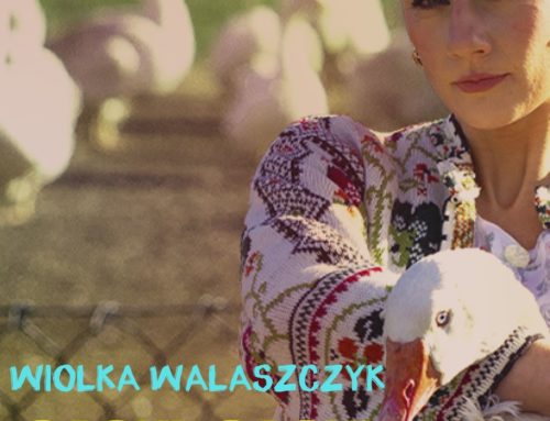 Wiolka Walaszczyk – Stand up