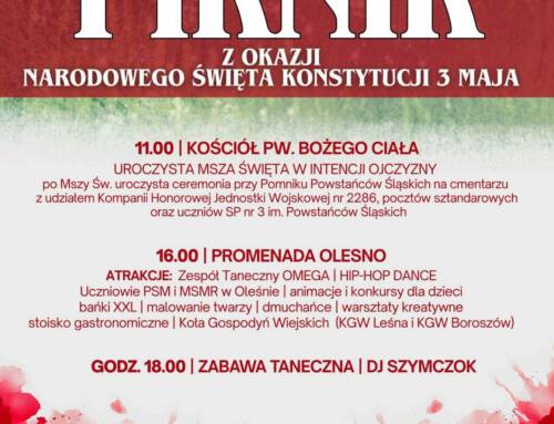Piknik z okazji Święta 3 maja