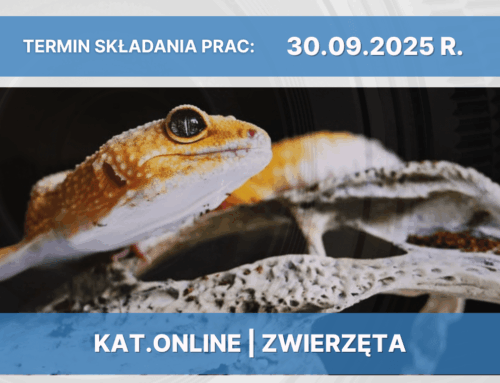 Kategoria online – 27. Oleski Konkurs Fotograficzny