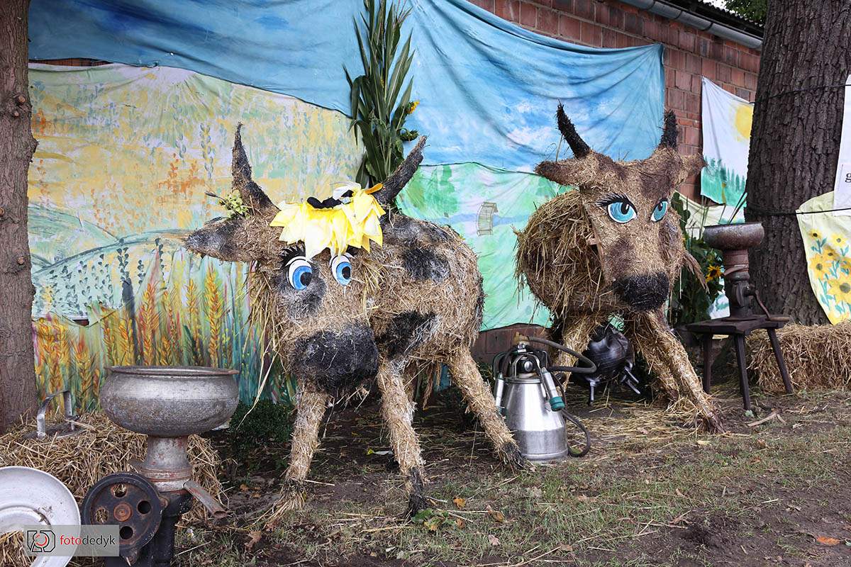 544740249_1193254029498883_6310426255187284390_n