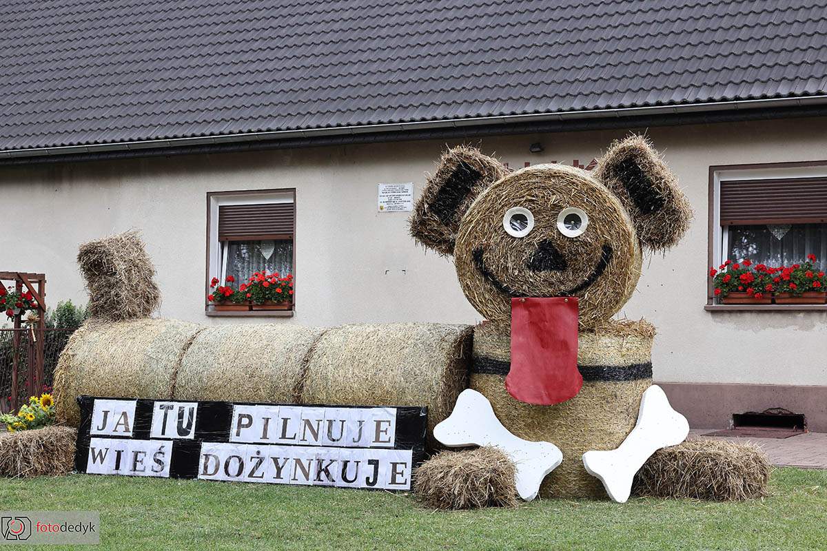 544893323_1193253866165566_283744033114207861_n