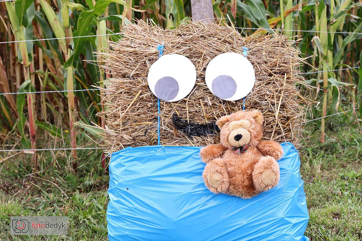 544911615_1193251266165826_2707014833271816289_n