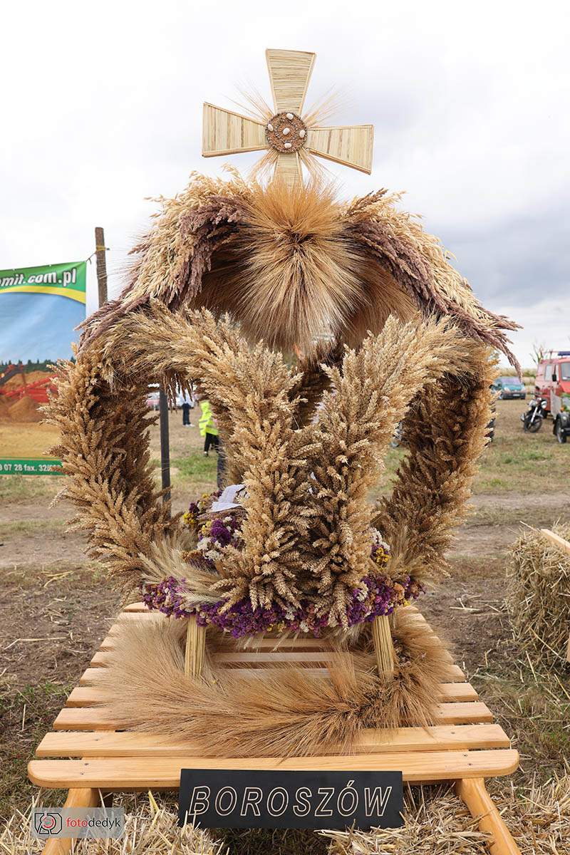 544912675_1193281459496140_8226488708491964325_n