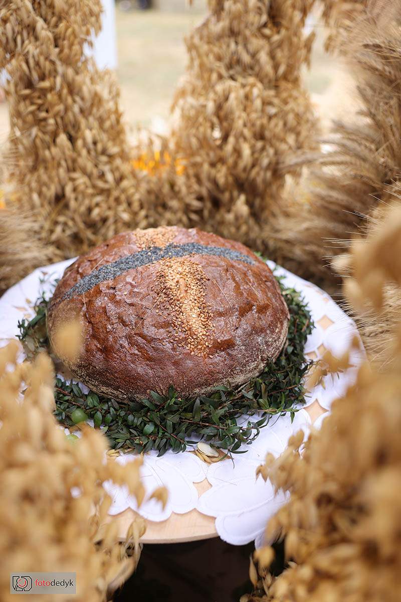 545213068_1193281616162791_8216064489595291662_n