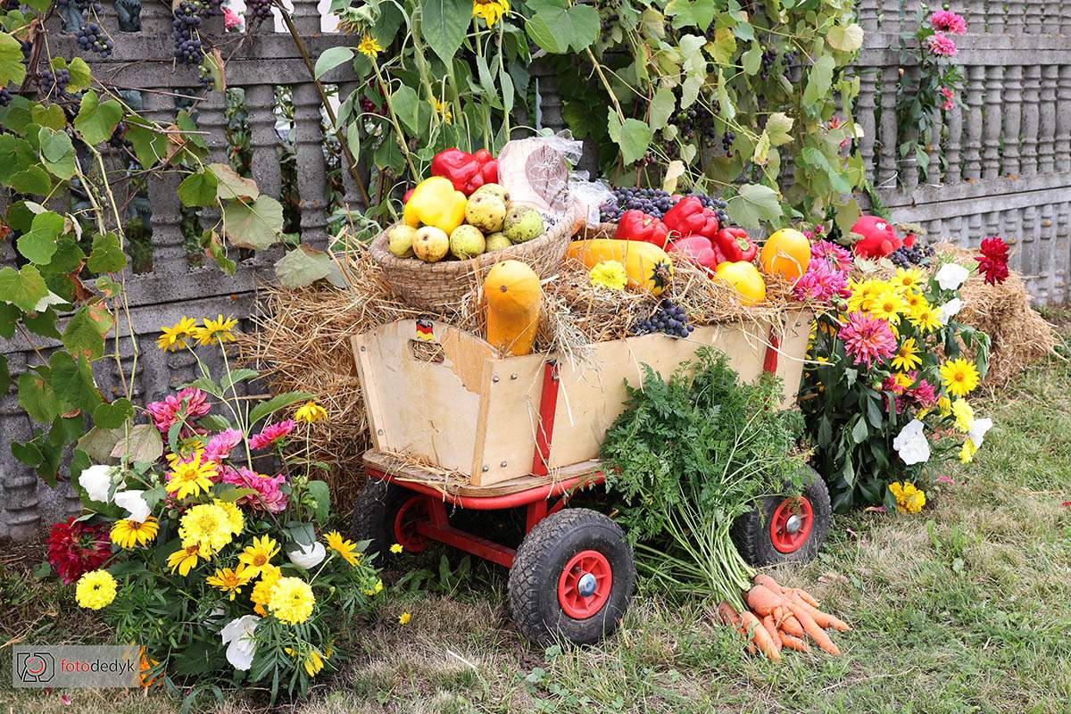 545341356_1193251279499158_8097362408247275848_n