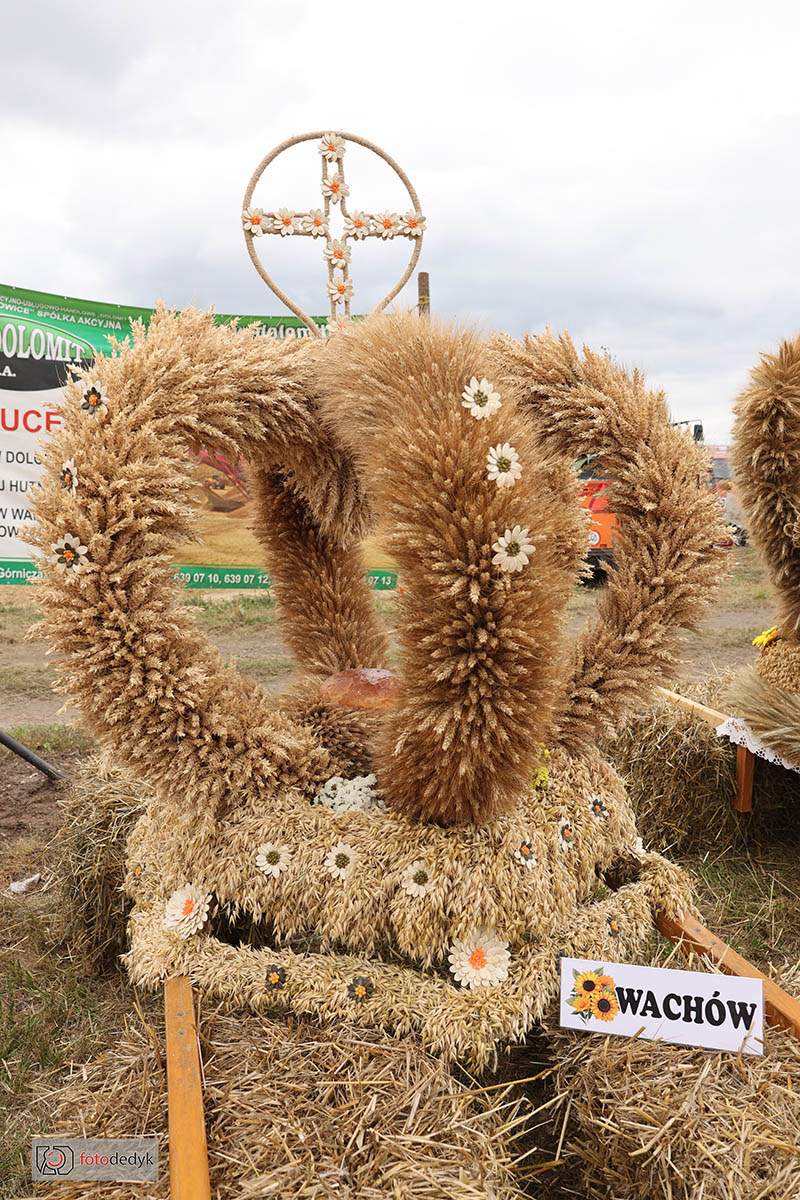 545765057_1193281636162789_4716605370103676015_n