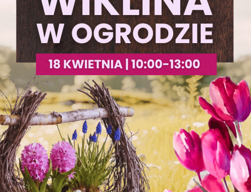 Warsztaty dla dorosłych – „Wiklina w&nbsp;Ogrodzie”