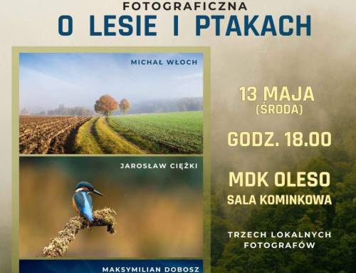 Wystawa o&nbsp;lesie i&nbsp;ptakach
